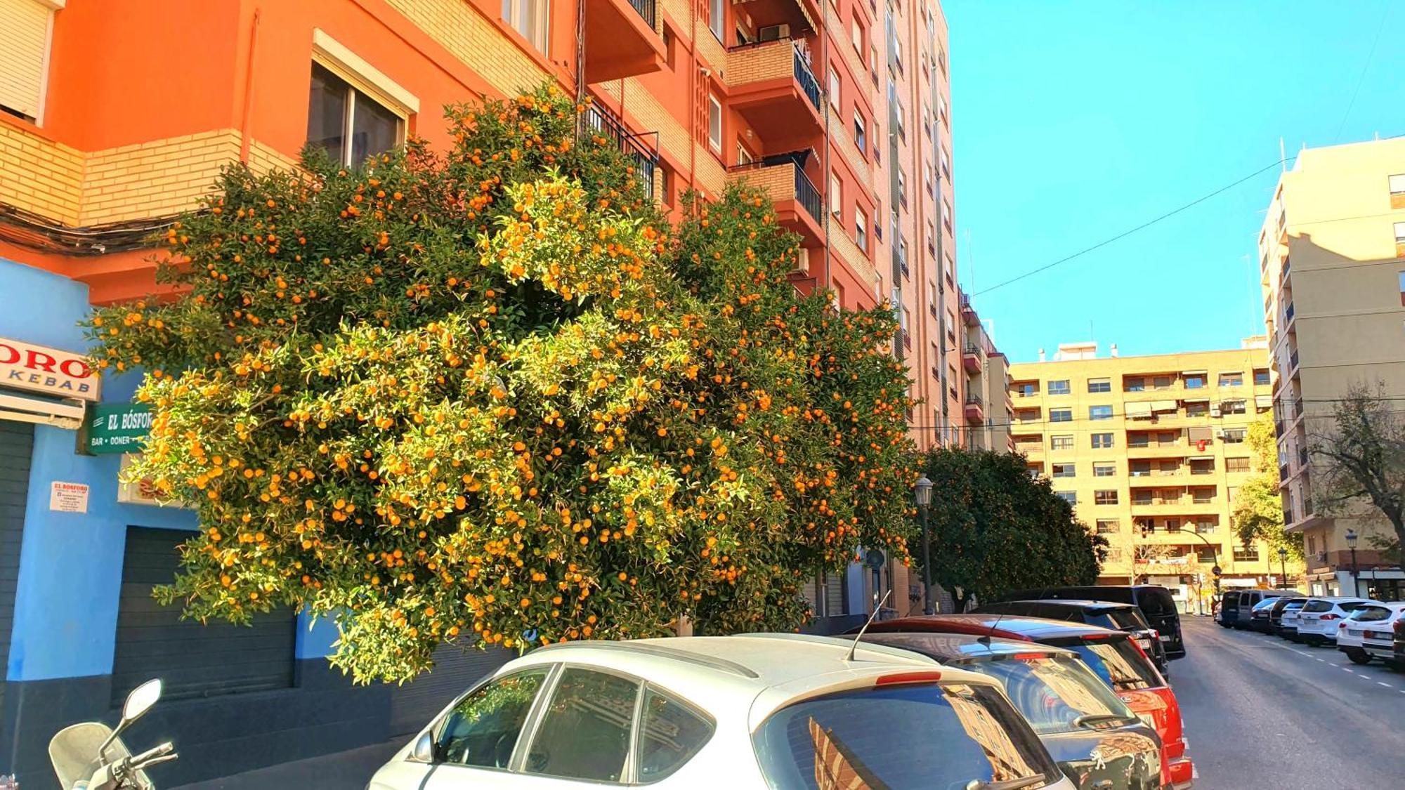 Nuevo Apartamentos Costa Del Alma Valencia Ngoại thất bức ảnh