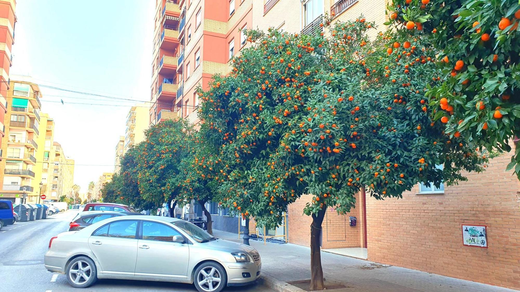 Nuevo Apartamentos Costa Del Alma Valencia Ngoại thất bức ảnh